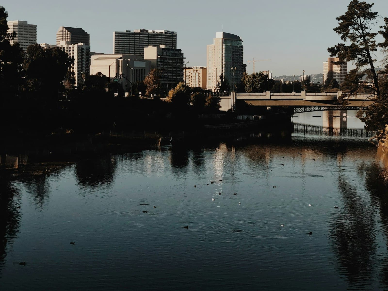 The downtown Oakland skyline seen across Lake Merritt